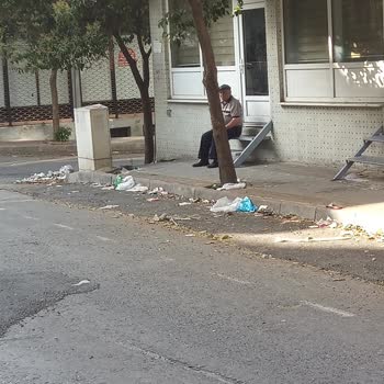 İBB - İstanbul Büyükşehir Belediyesi Mahalle Çok Pis Kokuyor Yerler Süpürülmüyor Yıkanmıyor