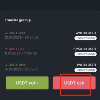Paribu Para Transferi Sorunu