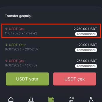 Paribu Para Transferi Sorunu