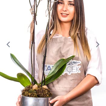 Taze Çiçek (tazecicek.com) Farklı Ürün Gönderimi.