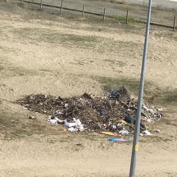 Karasu Belediyesi Karasu'nun Bakımsız Çöplük Yalı Mahallesi