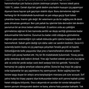 Uludağ Üniversitesi Veteriner Fakültesi Acil Bölümü Nöbetçi Doktoruna