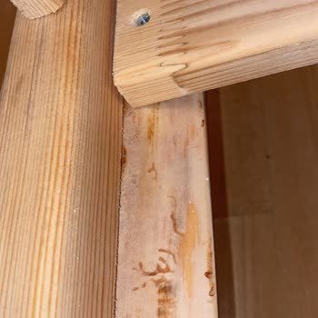 N11 Markaawm 'den Montessori Yatak Aldık ve Yazım Tahta Biti Oldu