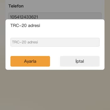 Amazon Platformuna Davet Edildim, Komisyonlarımı Alamıyorum