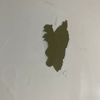 Opel Aracımın Tavan Boyası Attı