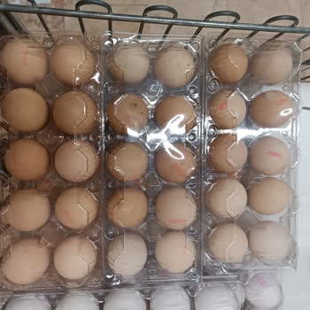 Hakmar Gıda Tarihi Geçmiş Ürünler