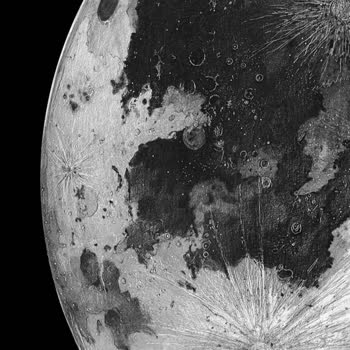 Oppo Telefon Şebeke Sorunu