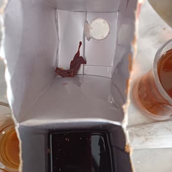 İçim Meyve Suyu İçinden Çıkan Made