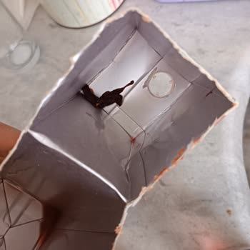 İçim Meyve Suyu İçinden Çıkan Made