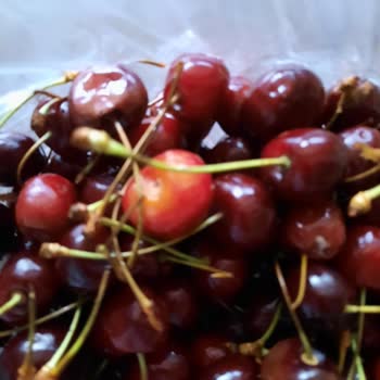 Migros İade Ürünün Geri Alınmaması