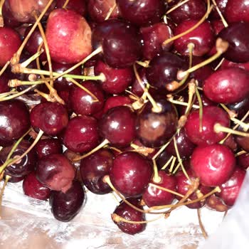 Migros İade Ürünün Geri Alınmaması