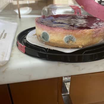 Migros Frambuazlı Cheesecake Şikayet
