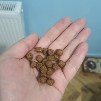 Toyasu Akvaryum & Pet Shop Orijinalliği Şüpheli Mama Satılması