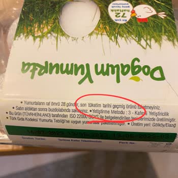 3 Numara Doğalım Yumurta İsim Şaşırtmacası