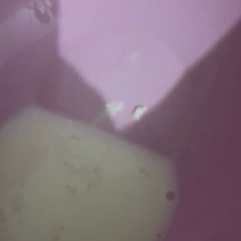 Pınar Çürümüş Süt