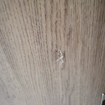 Vivense Ürünlerim Geç Geldi Ve Parçalar Eksik