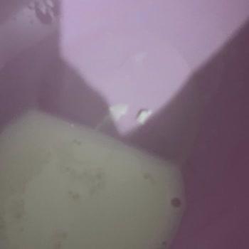 Metro Grossmarket Aldığım Süt Bozuk Çıktı