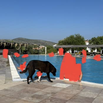 Etstur İzmir Akay Garden Oteli Şikayeti