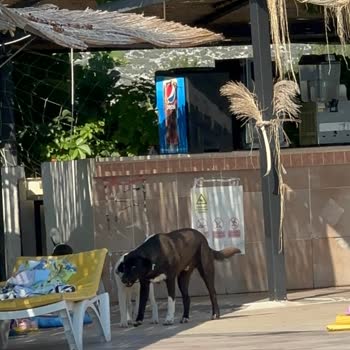 Etstur İzmir Akay Garden Oteli Şikayeti