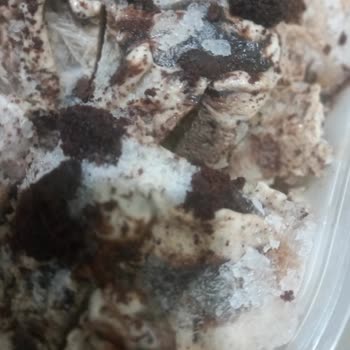 Carte d'Or Yoğun Buzlu Dondurma