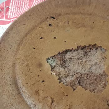 UNO Pastaban Küflü Çıktı