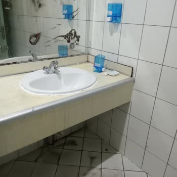 Bursa Yüksek İhtisas Eğitim Ve Araştırma Hastanesi Kadın Doğum Acilindeki WC Durumu