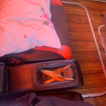 Kamil Koç'ta Yaşanan Olaylar