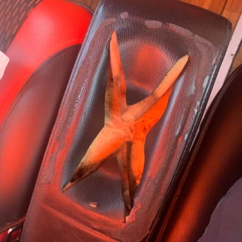 Kamil Koç'ta Yaşanan Olaylar