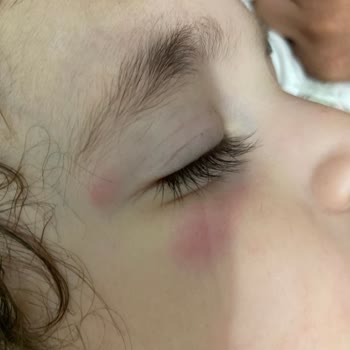 Raid Electro Likit Makine Hiçbir İşe Yaramıyor