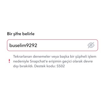 Snapchat Hesap Erişimi Sorunu