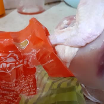 Şenpiliç Bozuk Tavuk Hk.