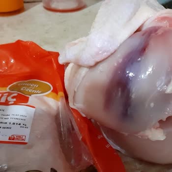 Şenpiliç Bozuk Tavuk Hk.