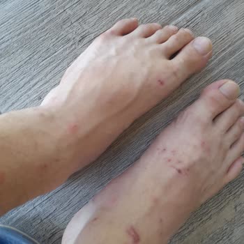 Hello Villam Hello Villa _ Serik Antalya Şikayet