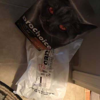Catcanis Eksik Ürün Gönderildi