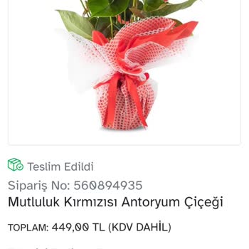 Osevio.com Siparişim Teslim Edilmedi, Param Alındı