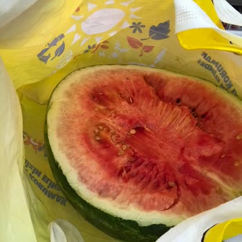 Şok Karpuzu Bozuk Çıktı