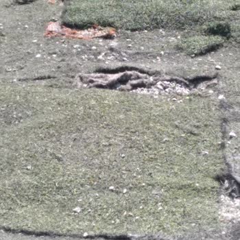 Altındağ Belediyesi Emirhan Yalçın Park Halı Saha Çok Kötü