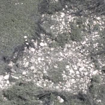 Altındağ Belediyesi Emirhan Yalçın Park Halı Saha Çok Kötü