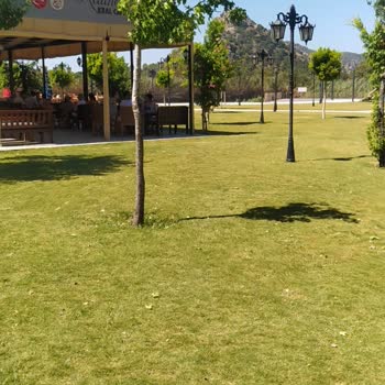 Muğla Büyükşehir Belediyesi Evcil Kedinin Çay Bahçesine Alınmaması