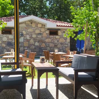 Muğla Büyükşehir Belediyesi Evcil Kedinin Çay Bahçesine Alınmaması