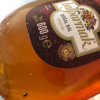 Balparmak Süzme Bal İçerisinde Sinek Çıktı!