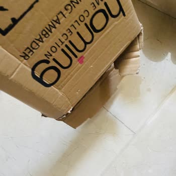 Homing Hayal Kırıklığı Ve Mağduriyetten Başka Bir Şey Yaşatmadın!