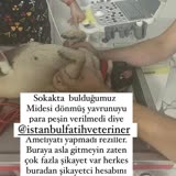 İstanbul Fatih Veteriner Kliniği Köpeğimin Ölmesine Sebep Oldu