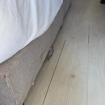 Ganita Holiday Village 'de Yaşadığım Kötü Deneyim