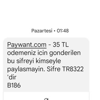 Paywant Teknoloji Paywant Yatan Parayı Hesaba Geçmiyor