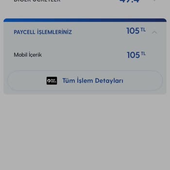 Vizyon Elektronik Para İstemsiz Abonelik Ve Para İadesi Talebi.