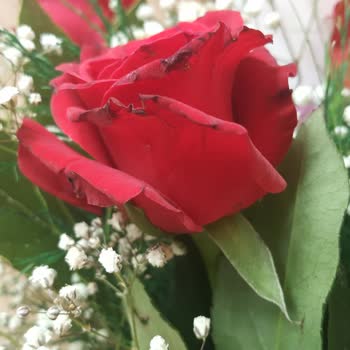 Çiçek Sepeti Kırık Vazo Solgun Çiçekler