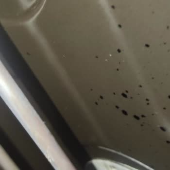 Bosch Fırın İçi Boya Atması