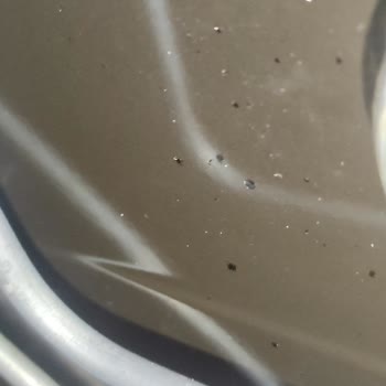 Bosch Fırın İçi Boya Atması