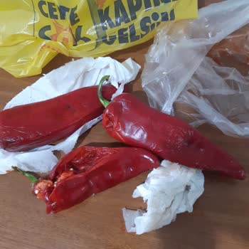 Şok Market Bozuk Ürün